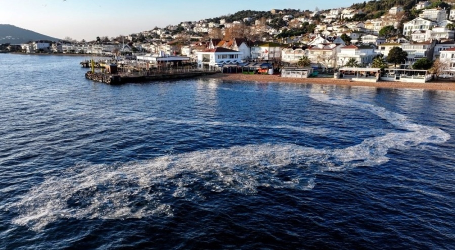 Marmara'da kabus geri döndü: "Bitti derken yeniden başladı"