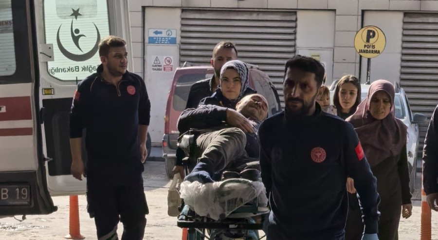 Bursa'da bir kişi budadığı ağaçtan düşüp yaralandı