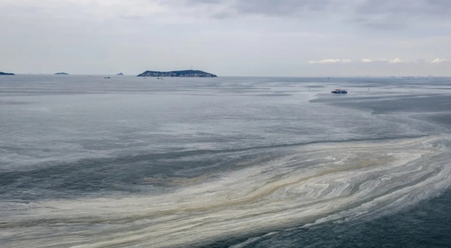 Marmara'da kabus geri döndü!