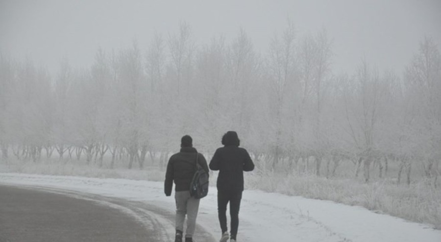 Kars'ta sis, soğuk ve kırağı hayatı felç etti