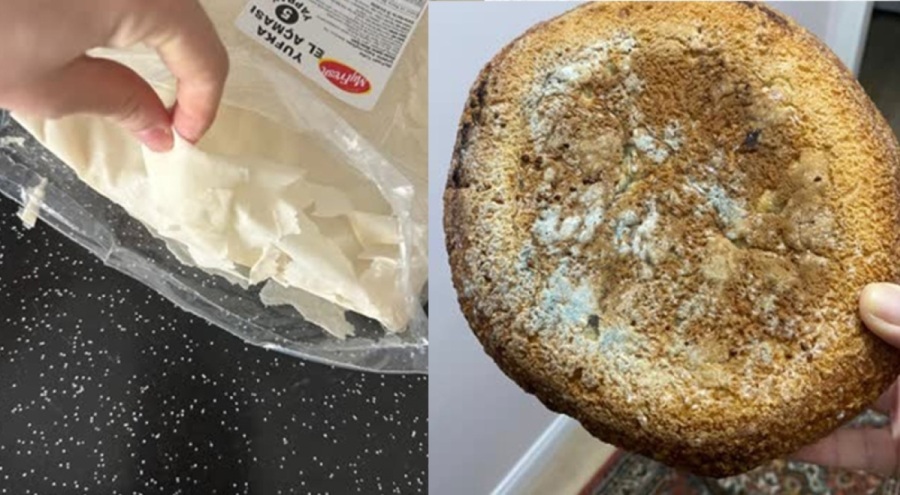 Bursa'da gıda skandalları sürüyor! Marketten bozuk yufka, fırından küflü ekmek!