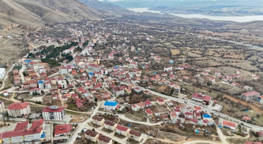 Tunceli'de 114 hayvanın öldüğü Pertek ilçesi 30 gün karantinaya alındı