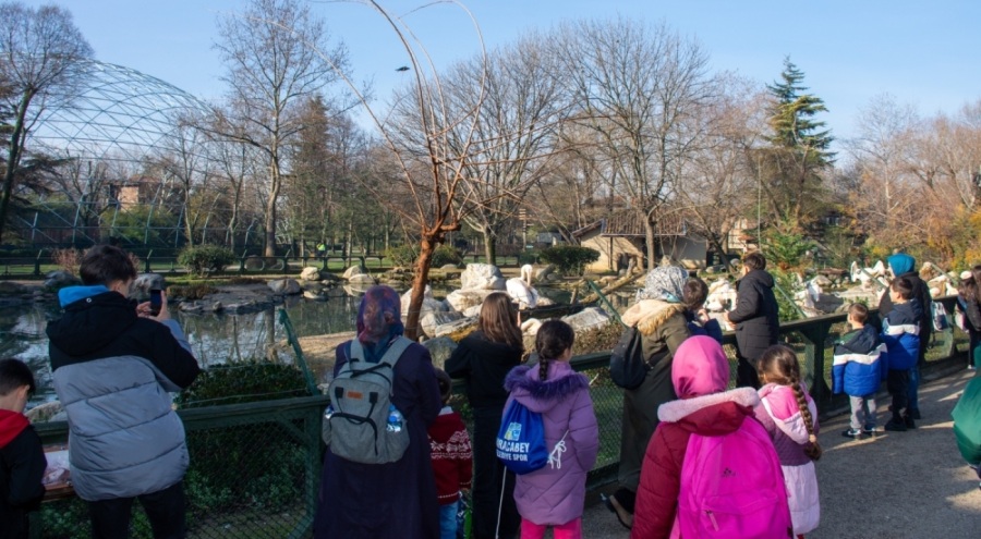 Karacabey Belediyesporlu sporcular hayvanat bahçesine hayran kaldı