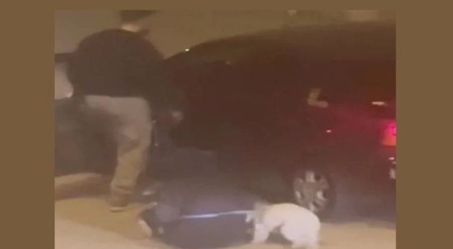 Dehşet anları! Genç kızı ve köpeğini defalarca tekmeledi!