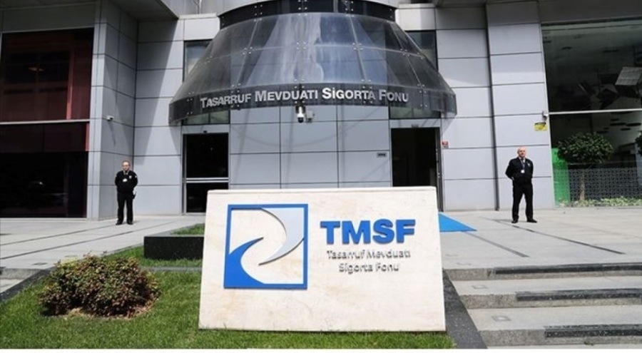 TMSF, iki şirketin ihalesini erteledi