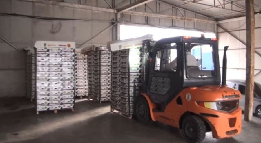 Marul kolilerinde uyuşturucu bulundu