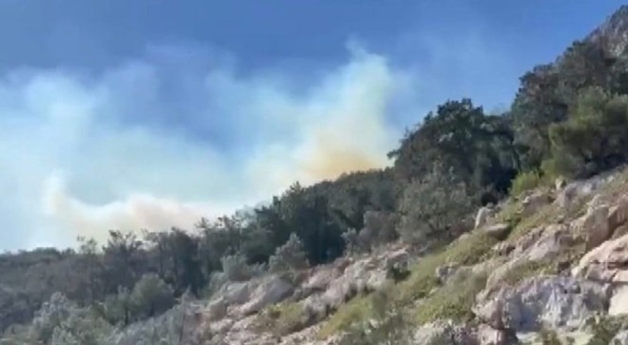 Antalya'da orman yangını