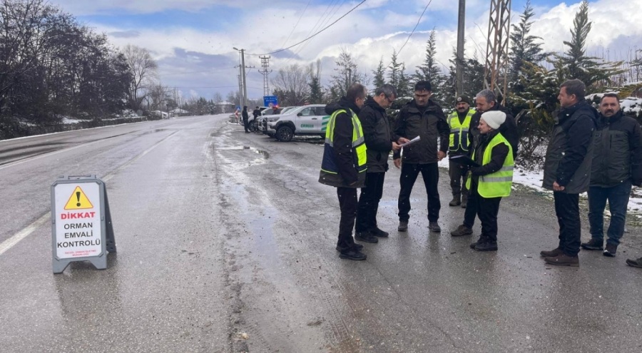Bursa'da orman ürünleri taşıyan araçlara denetim