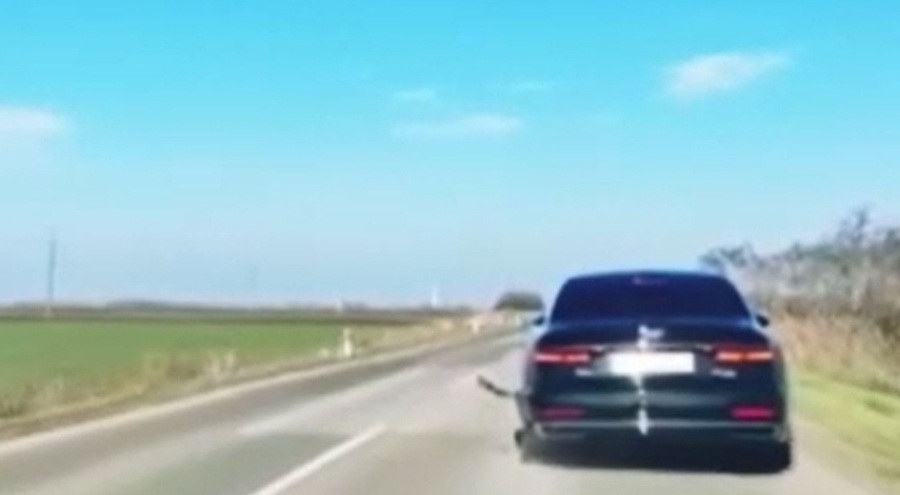 Sırbistan Cumhurbaşkanı makam aracında ölümden döndü