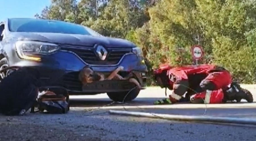 Aracın çarptığı köpek tampona sıkıştı