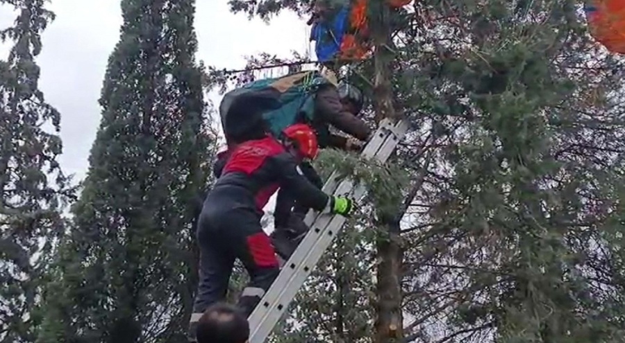 Paraşütü ağaca takılan genç pilotu itfaiye ekipleri kurtardı