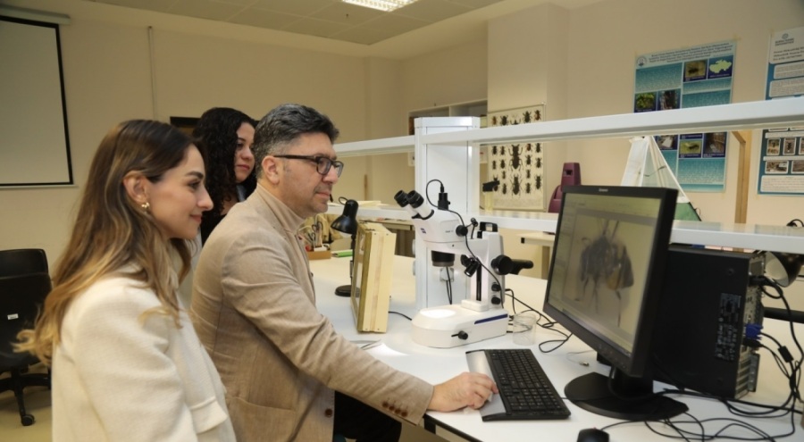Bursa Teknik Üniversitesi, Uludağ ormanlarındaki arıların tür çeşitliliğini belirleyecek
