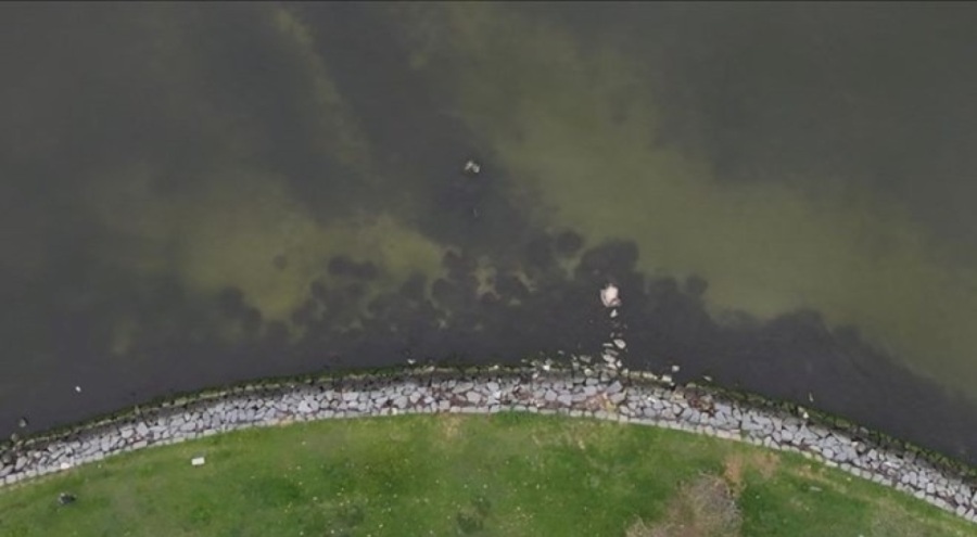 Küçükçekmece Gölü alarm veriyor: Ağır metal, pestisit...