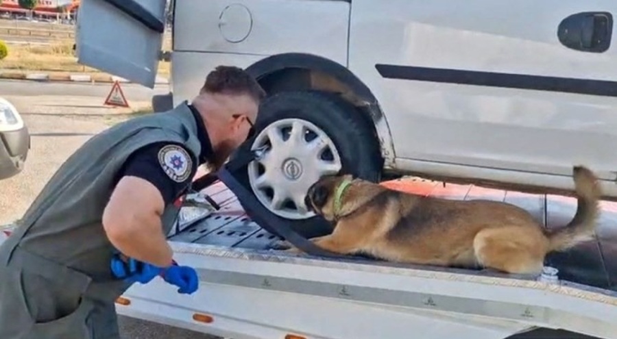 Bolu'da 9 uyuşturucu operasyonu! Çok sayıda gözaltı