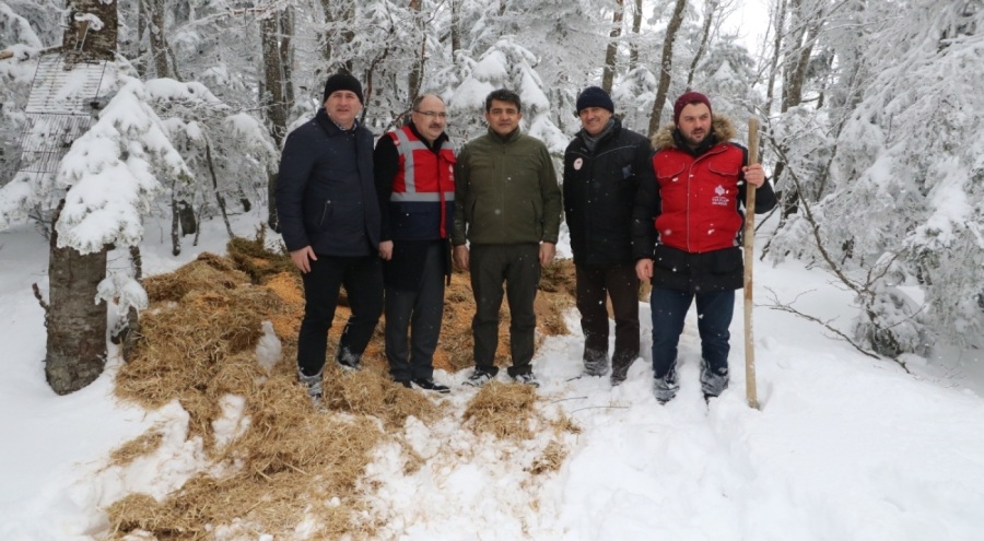 Doğa Koruma ve Milli Parklar Uludağ'daki yaban hayvanlarına yem bıraktı