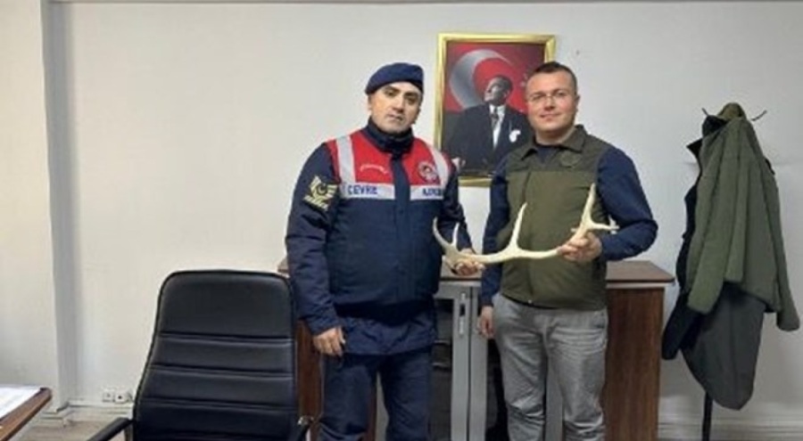 Sahibinden satılık geyik boynuzu!