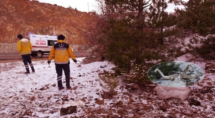 Ceset ihbarı alarma geçirdi! Gerçek bambaşka çıktı