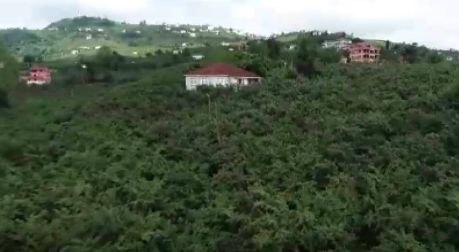 Üreticinin fındığını alıp, ödeme yapmadan ortadan kayboldu