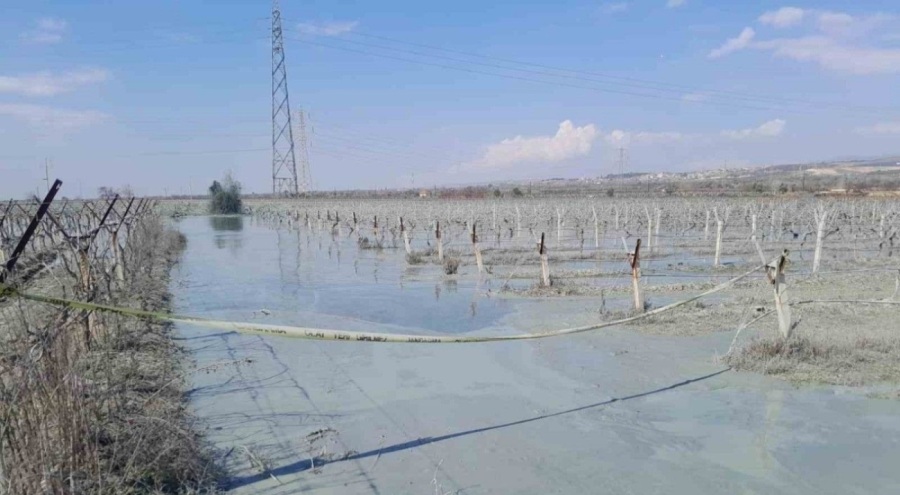 Manisa'da üzüm bağında korkutan patlama!