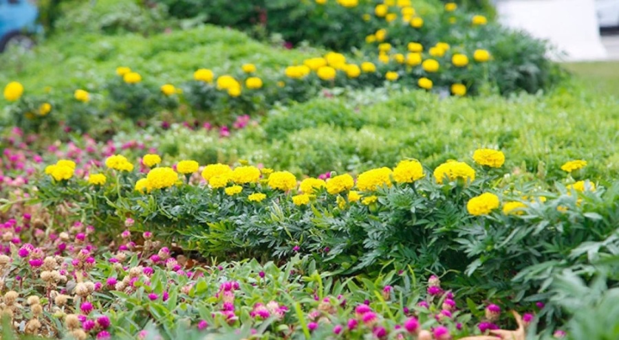 Şehir peyzajlarına bakanlık standardı geliyor! 81 ilde uygulanacak