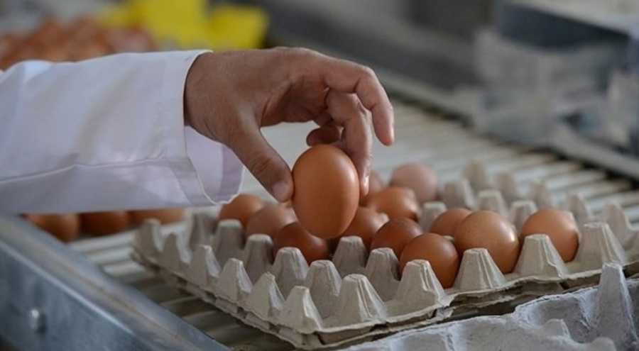 Yumurta fiyatları artacak mı?