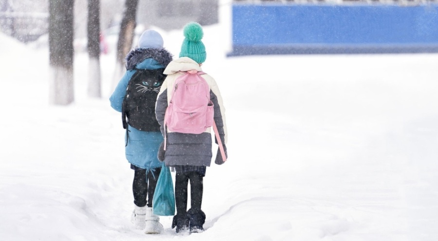 Ardahan'ın 4 ilçelesinde okullar tatil edildi