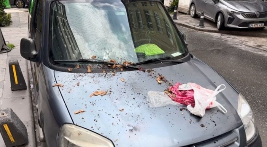 6 katlı binadan atılan çöp aracın camını kırdı