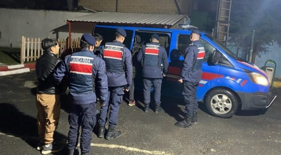 Van'da 8 düzensiz göçmen yakalandı