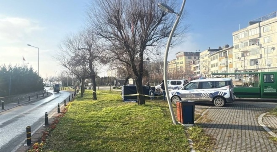 Parkta donarak can verdi