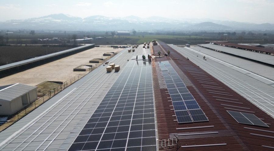 İnegöl Hayvan Pazarı'nın enerjisi güneşten sağlanacak
