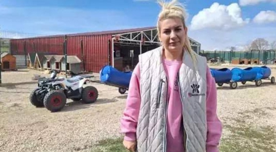 Sokak hayvanları derneğine 'haksız kazanç' davasında 14 sanık için istenen ceza belli oldu