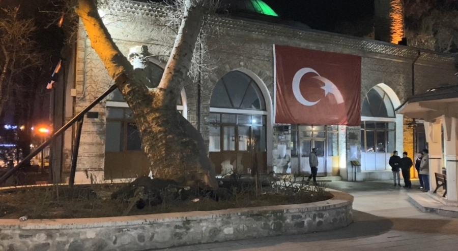 Bursa'da asırlık çınar ağacı, kökünden çıkarak devrildi!