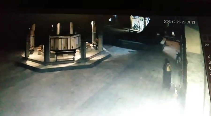 Bursa'da devrilen asırlık çınarın altında kalmaktan son anda kurtuldu