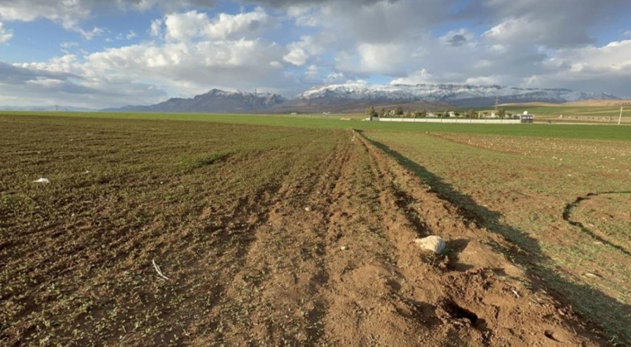 Poşet içerisinde bebek cesedi bulunmuştu: Kan donduran olayda yeni gelişme