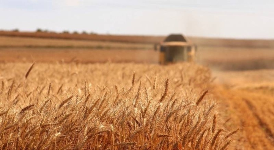 Tarımsal destekleme ödemeleri hesaplarda!