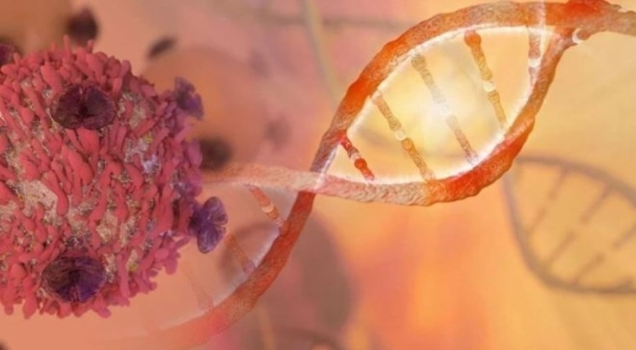 Kanser için yerli tedavi çalışması