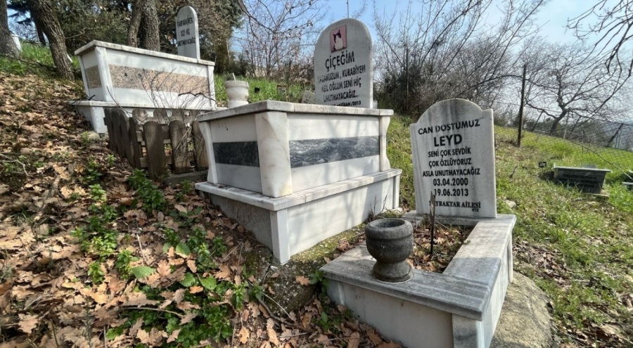 Bursa'da evcil hayvanlar için 2 bin 500 liraya özel mezar yeri!