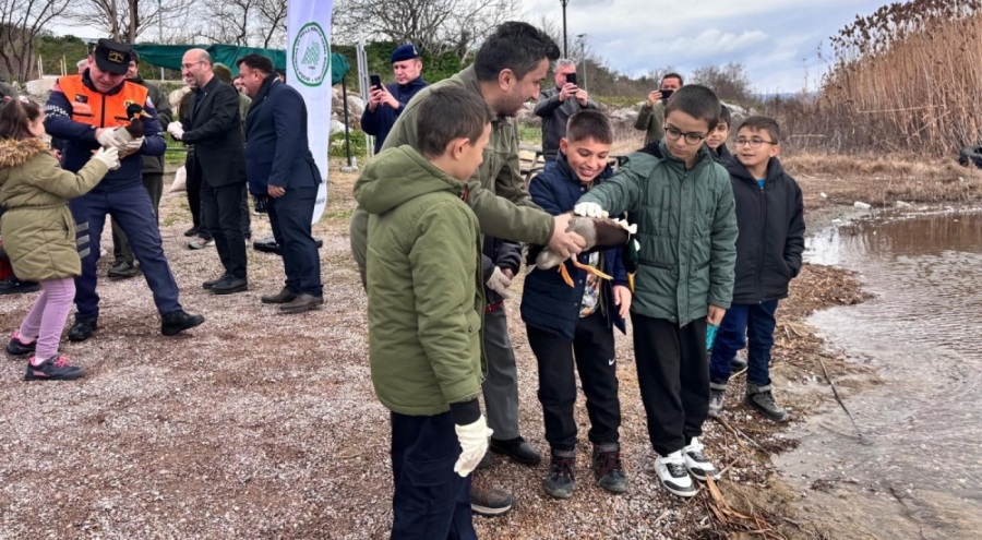 Bursa'da minik öğrenciler, avuçlarına sığmayan ördekleri doğaya saldı