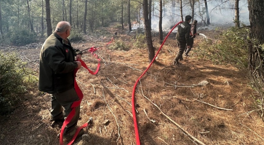 Osmaniye'de çıkan örtü yangını korkuttu