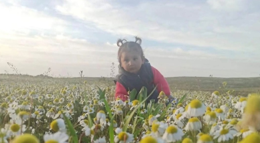 Mardin'de aracın çarptığı 2 yaşındaki Zeynep hayatını kaybetti