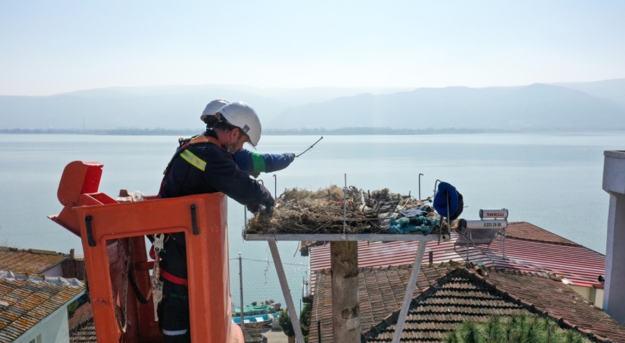 Bursa Uluabat Gölü çevresinde leylekler için yuvalar hazır