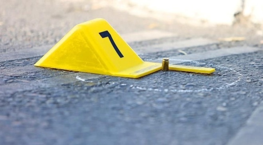 2024 yılında 394 kadın öldürüldü