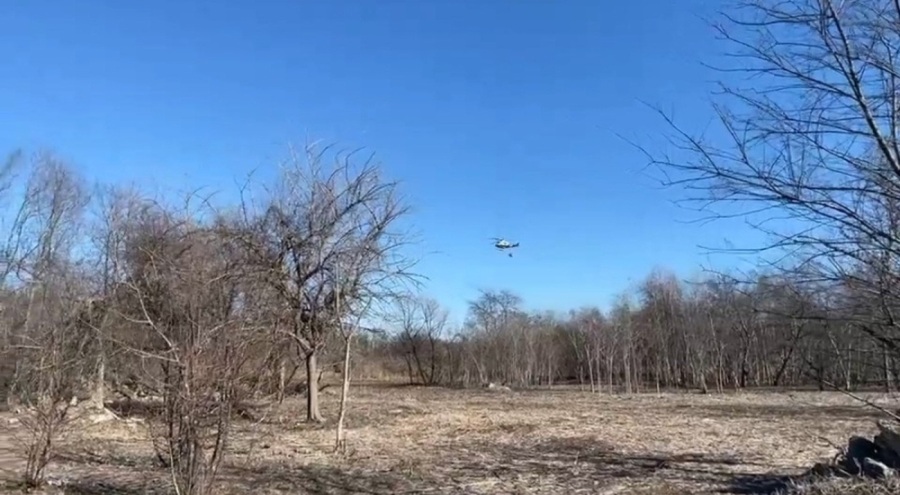 New York'ta orman yangınları nedeniyle acil durum ilan edildi