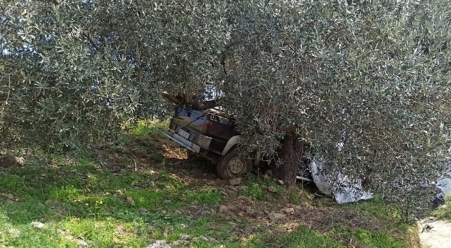 Ağaca çarpan pikabın sürücüsü öldü