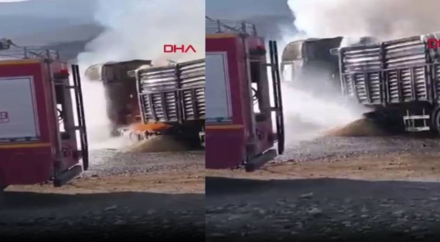 Park halindeki TIR alev alev yandı