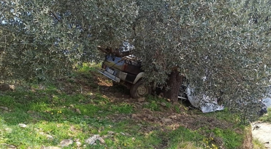 Ağaca çarpan pikabın sürücüsü öldü