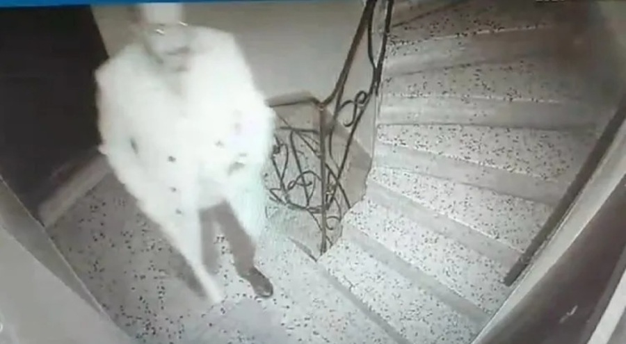 Korku filmi değil komşu terörü! "Seni burada barındırmayacağız"