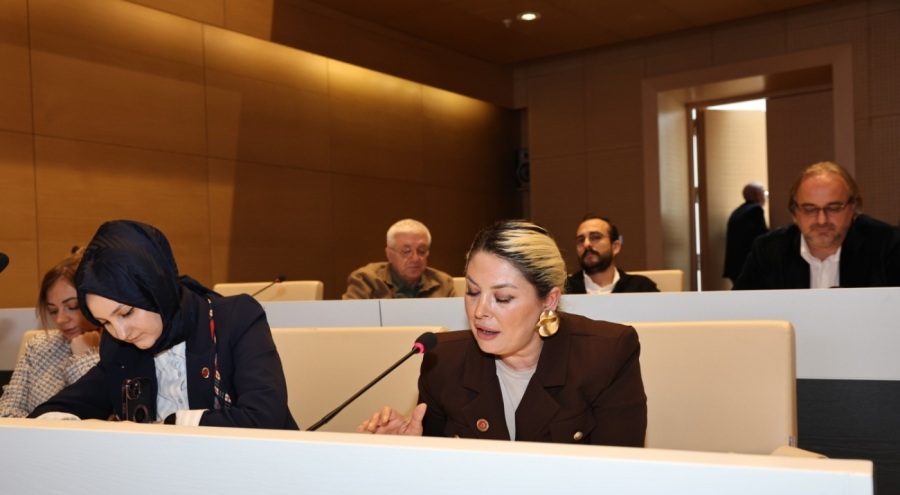 AK Parti Nilüfer Meclis Üyesi Tan: "Kadıköy'de kadın haklarında çifte standart uygulanıyor"