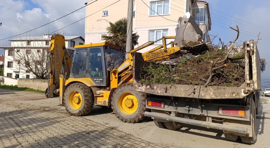 Gemlik'te Yeşil Seferberlik sürüyor