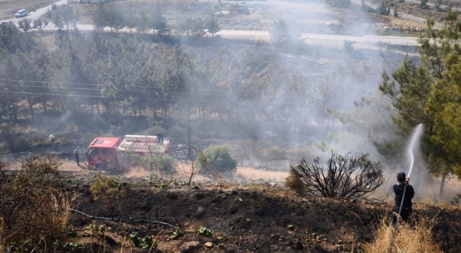 Hatay'da korkutan orman yangını